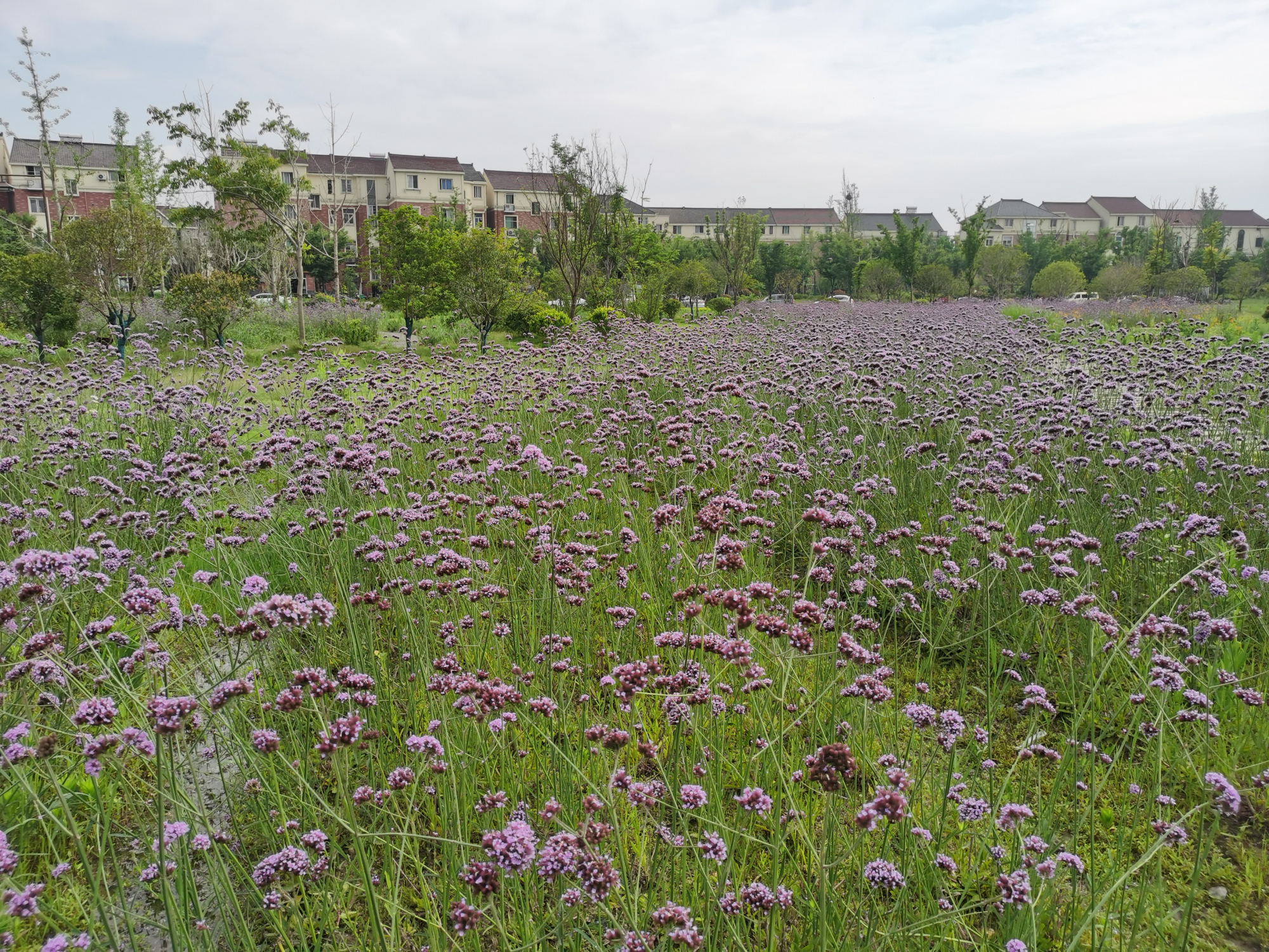 杭州兰里的美丽乡村!
