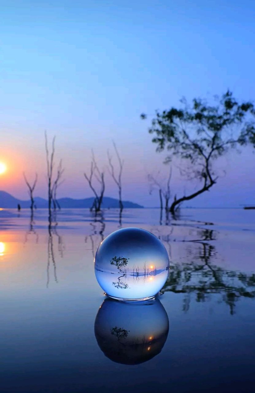 现代诗歌赏析四 《寻梦者》     戴望舒 梦会开出花来的, 梦会开出