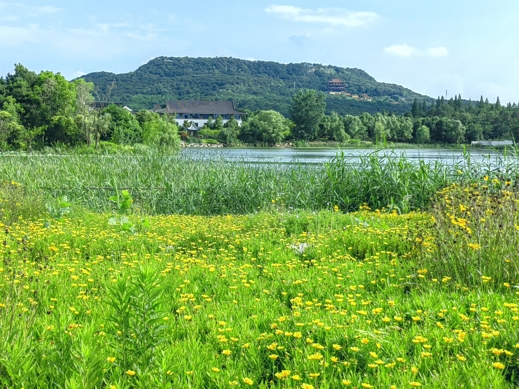六月的方山景色#我是本地分享家# #旅行# #助我上热门