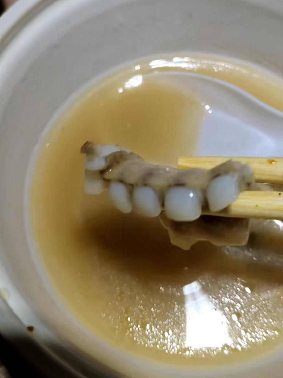 羊汤喝完了,现在就想弄清楚,这只羊到底有没有刷过牙