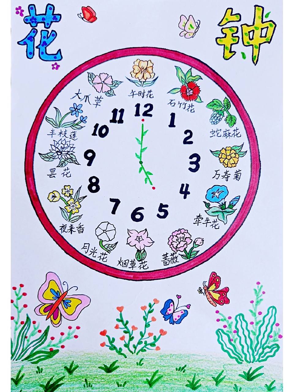 《花钟》手抄报 五一假期作业,和孩子一起搜索午时花,石竹花,蛇麻花