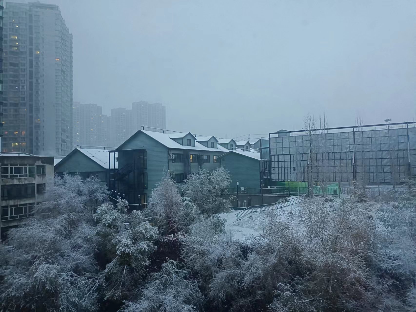 新疆下雪乌鲁木齐图片