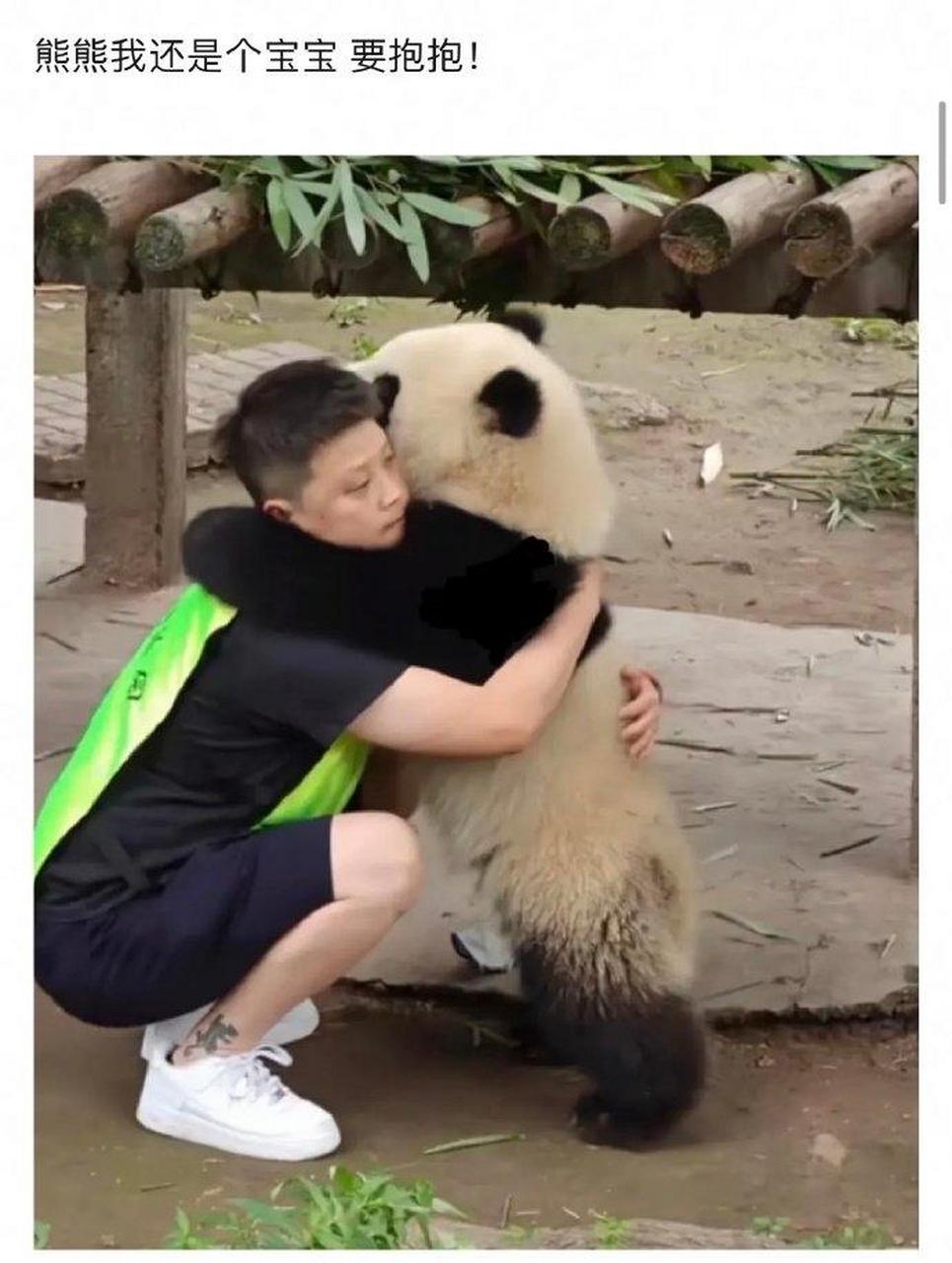蔓越莓和杨奶爸vs渝可和李奶妈 都知道渝可是粘人精,可是自从知道它是