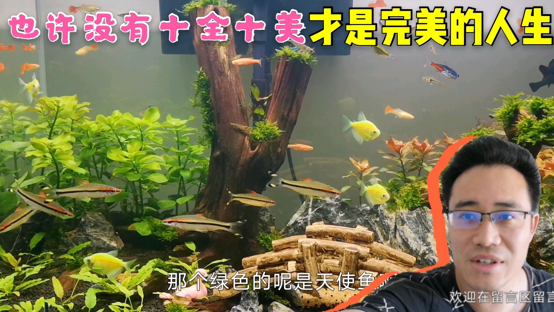 哪有十全十美的事!你得到了这个,必然会失去那个!你赞同吗?