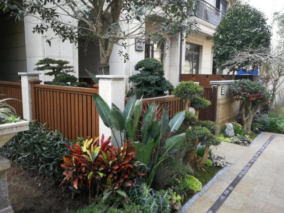 龙湖地产:美居生活的缔造者