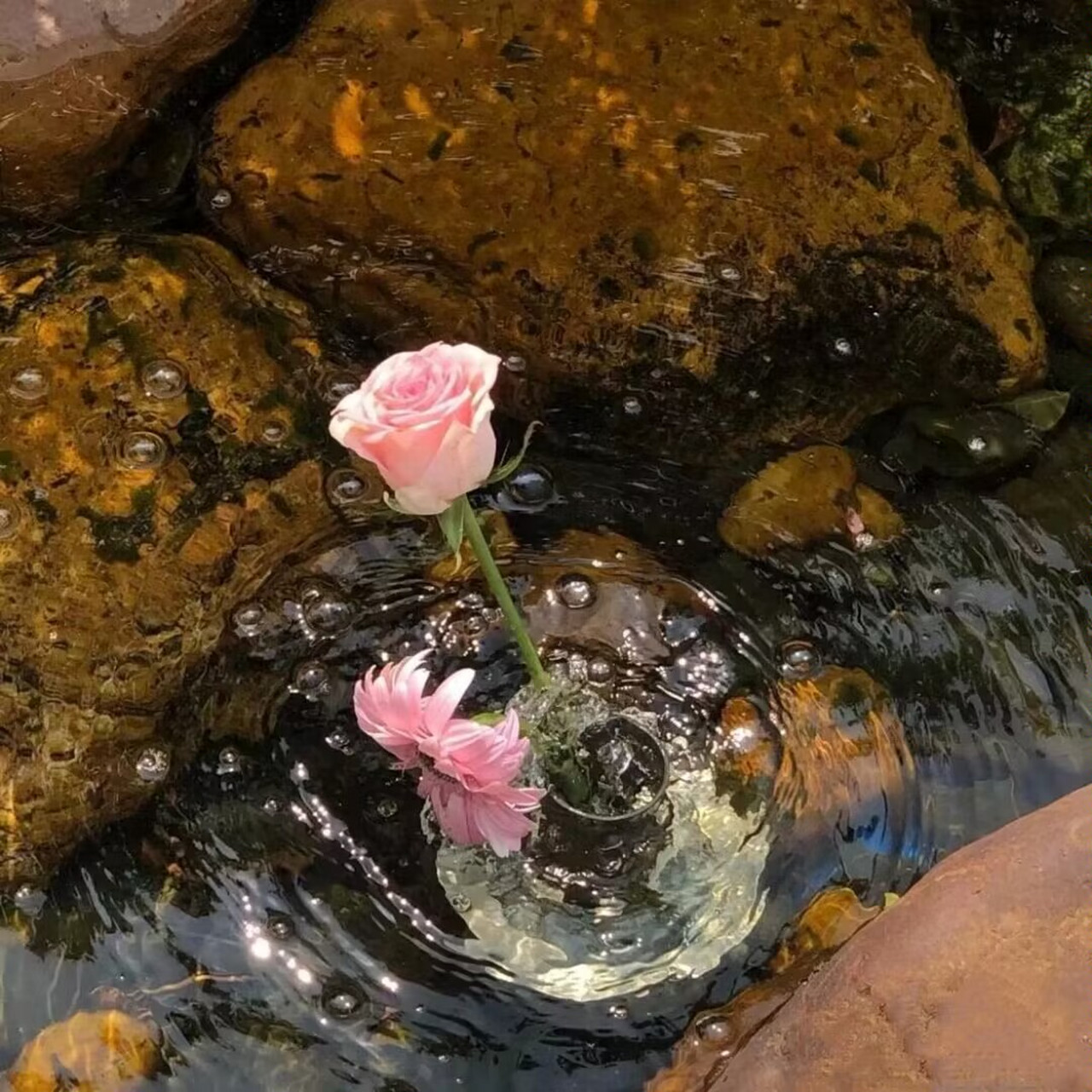 成年人好像稍微不努力,连快乐都养不起