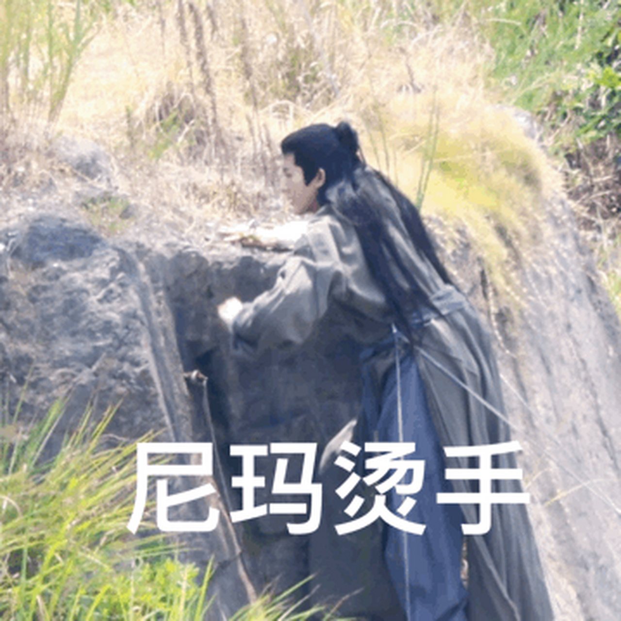 有一说一茶朔洵这个装造好适合他,跟小狐狸完全