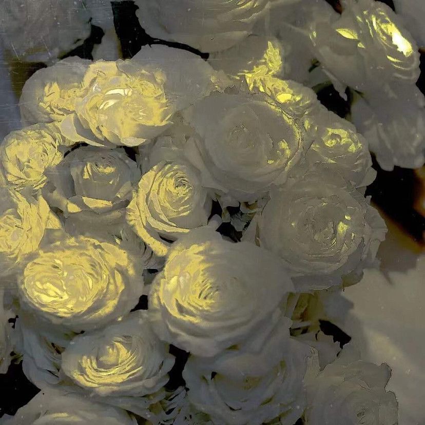 复合时发的朋友圈文案,睿智透彻,值得收藏!