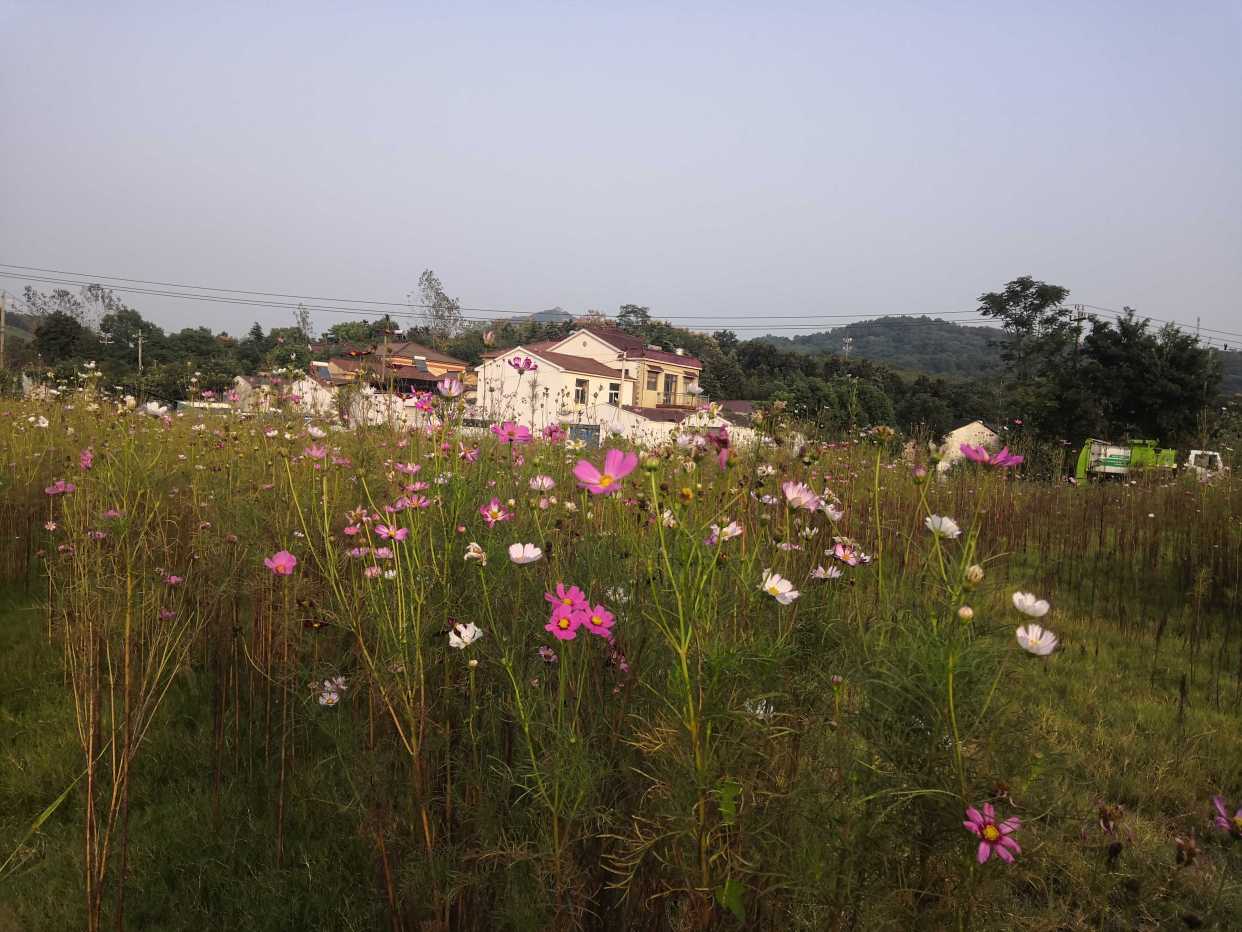 打卡——老山國家森林公園