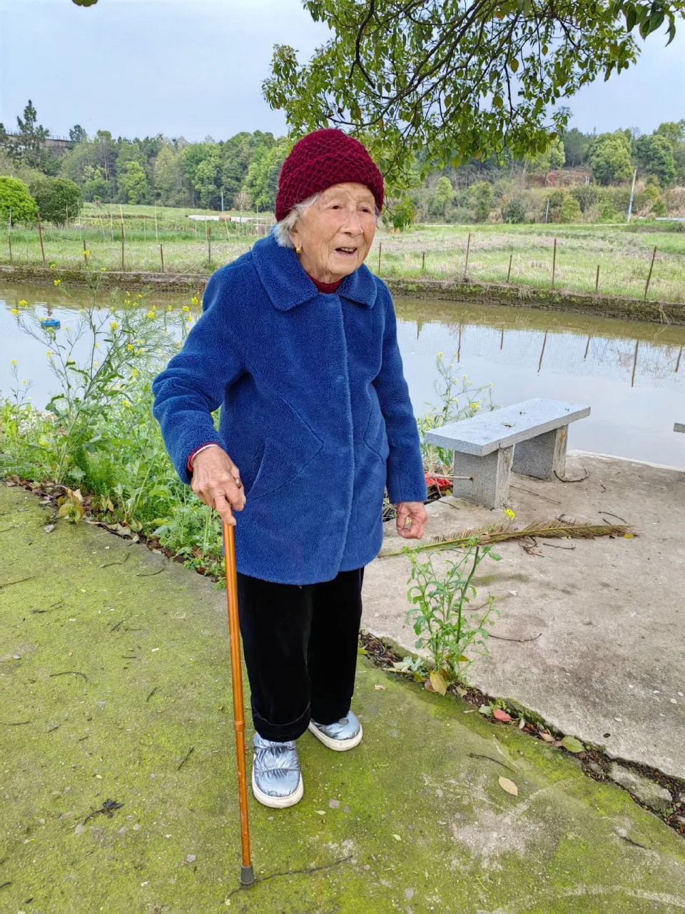 幸福百岁太奶奶! 老人遭人厌,小孩讨人喜.这是人生普遍的现象.