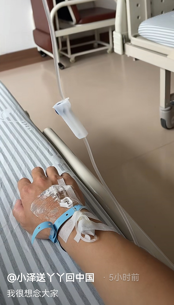 守护丫丫的小泽回国了,在医院住院打点滴,他很想念大家,祝小泽早日