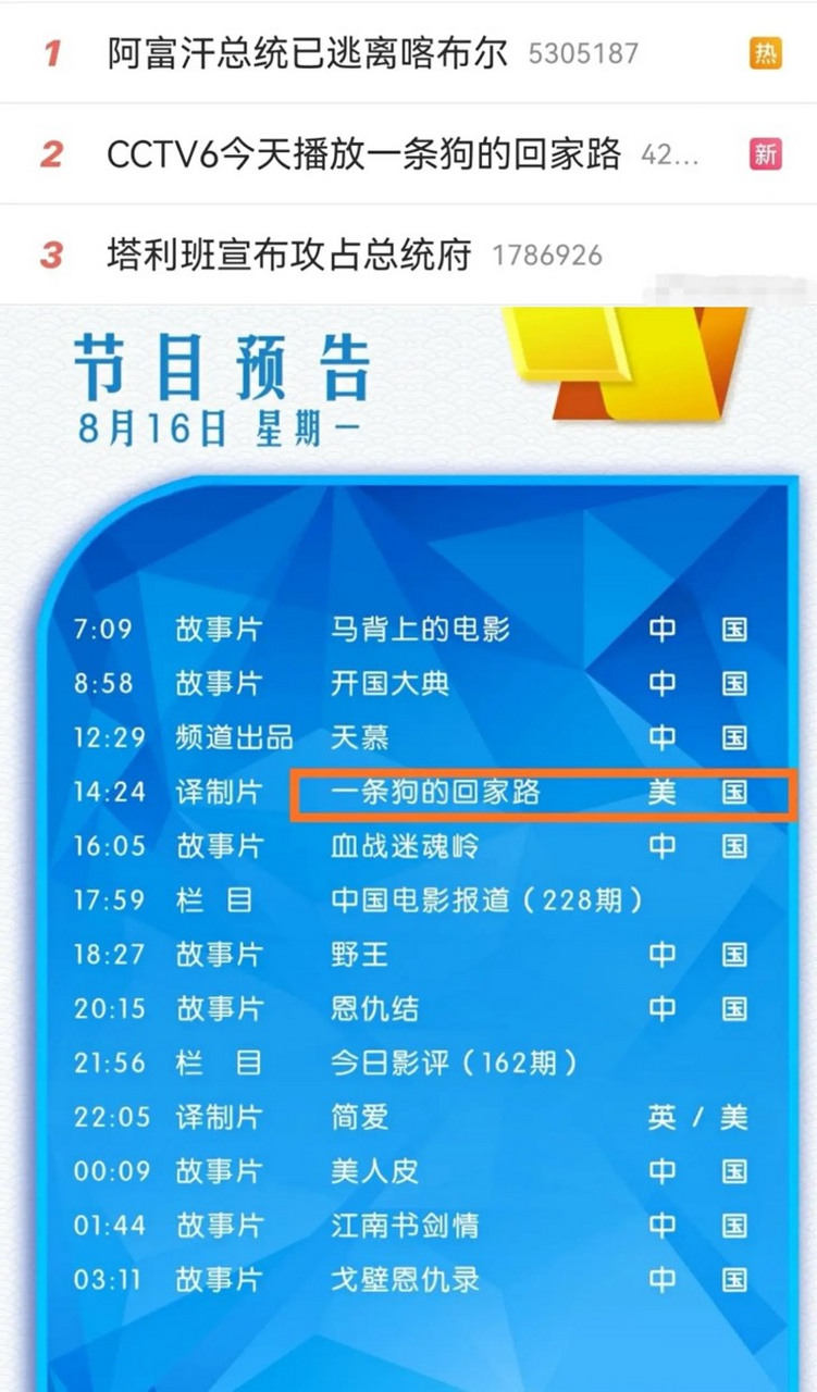 [捂脸] cctv6电影频道,今早公布节目单:一条狗的回家路,敦刻尔克,开国