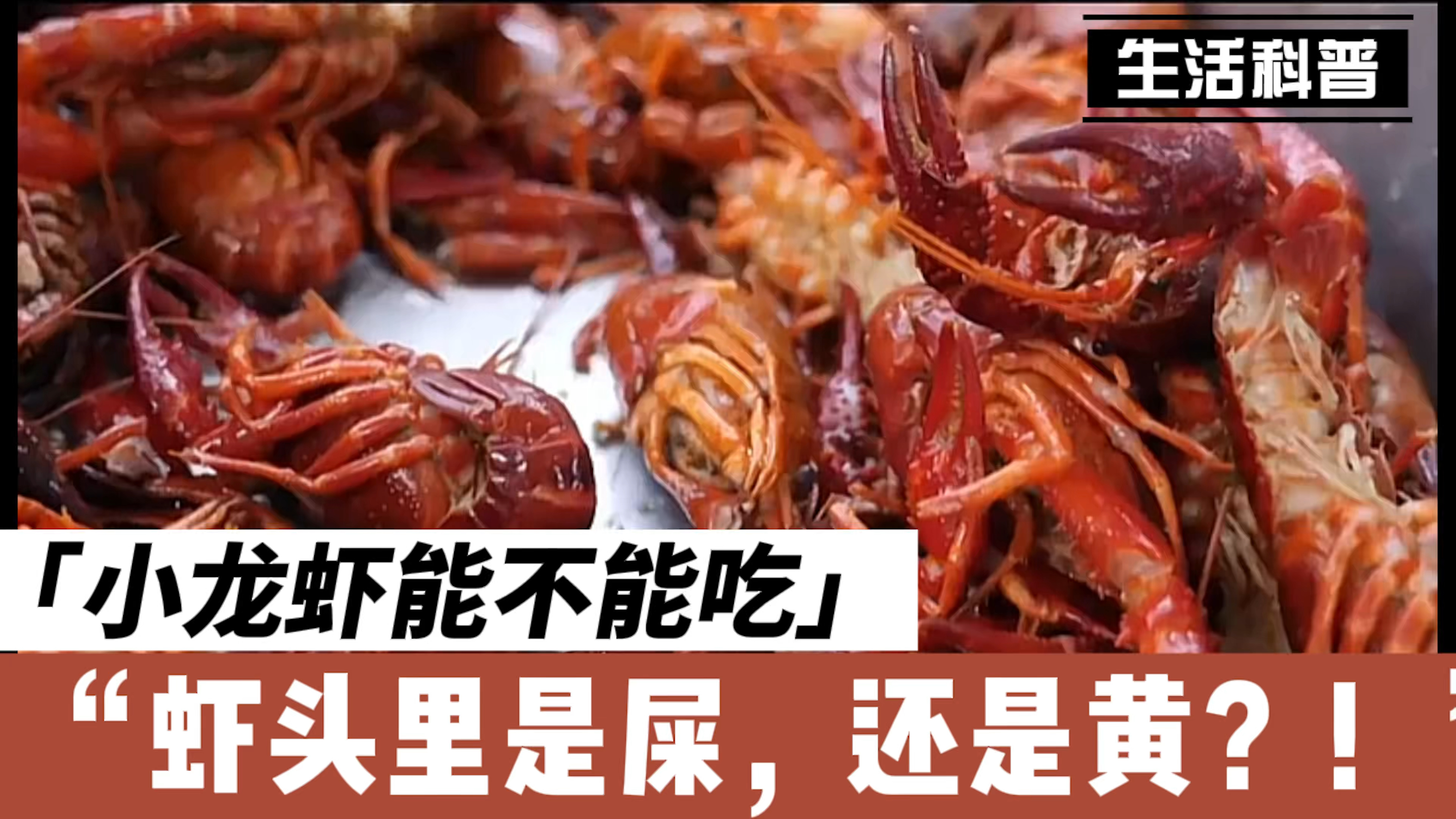 小龙虾头能不能吃?虾头里是“屎”还是“黄”