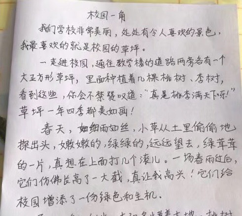 小学霸满分作文校园一角好有画面感有没有惊艳到你