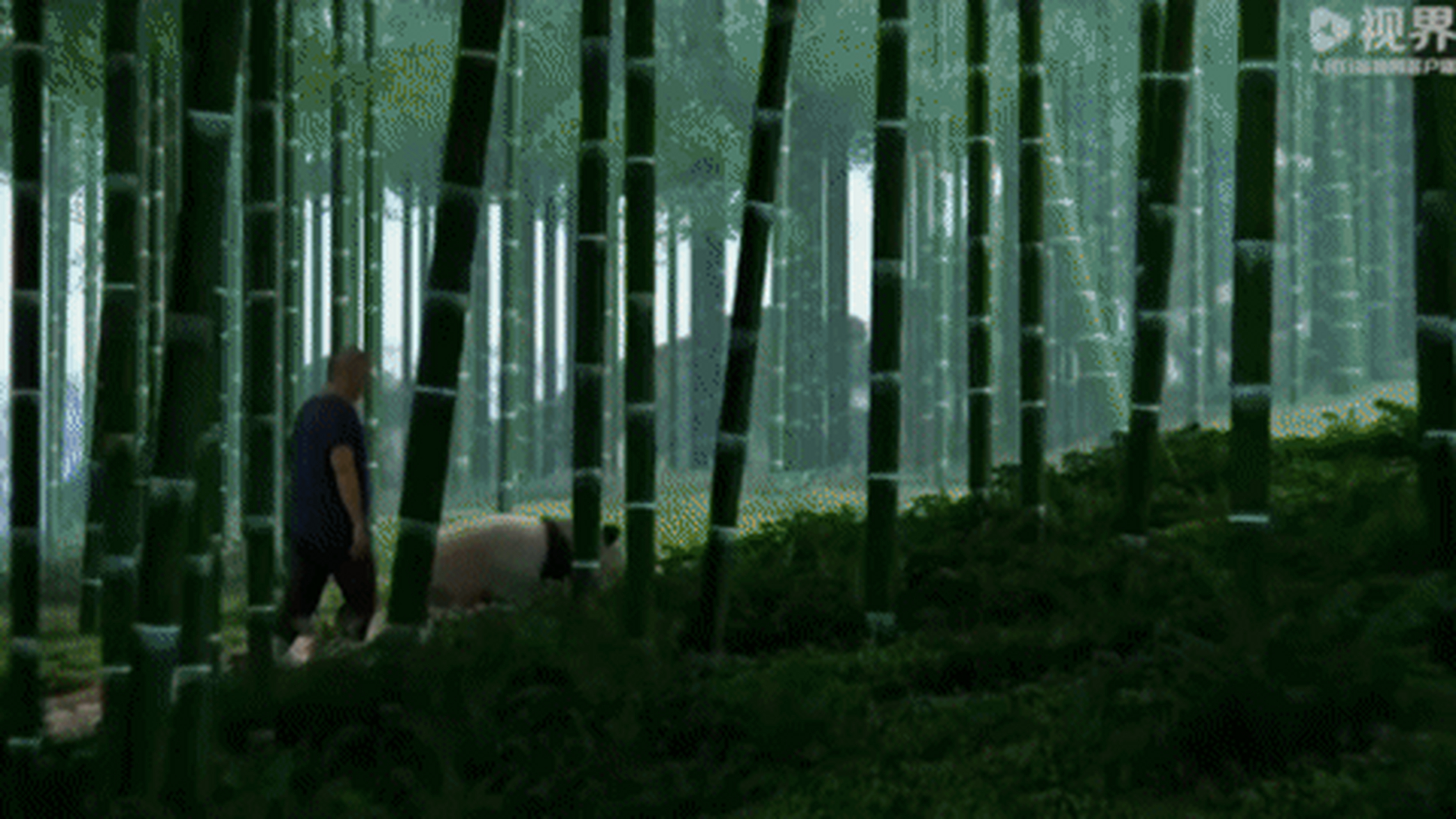 谭爷爷的"果赖召唤术"再次上线,"花花~果赖~泽儿"[左捂脸] 花花~你是