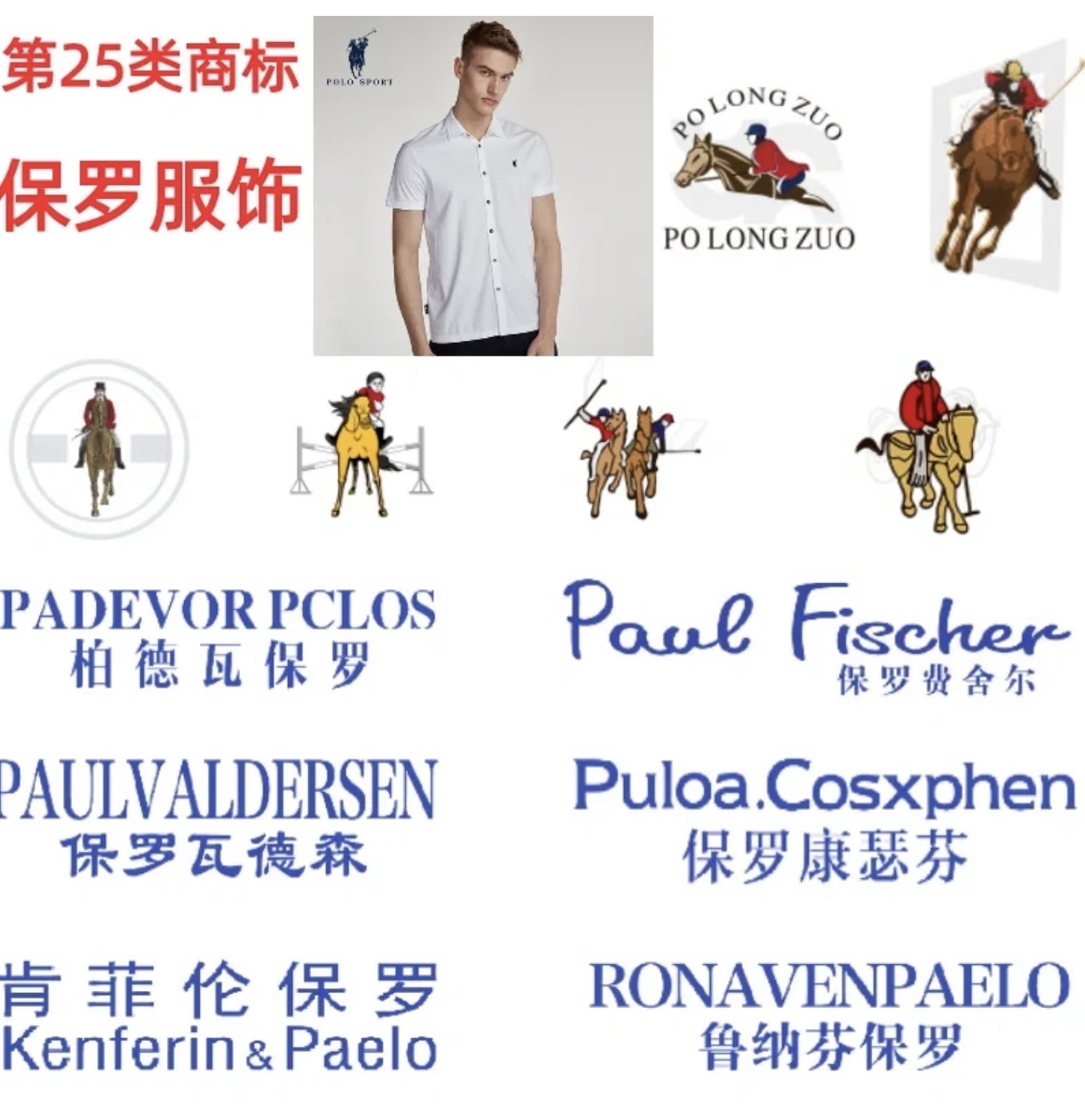 带你们认识保罗