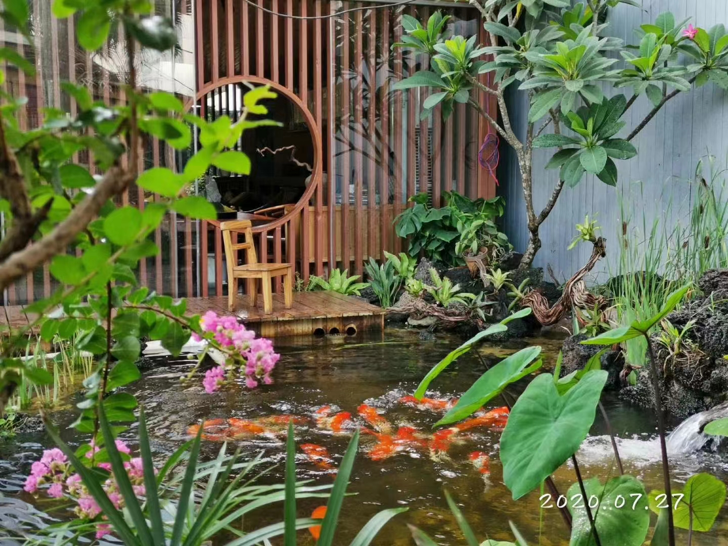 景观鱼池水处理十大方式全在这里