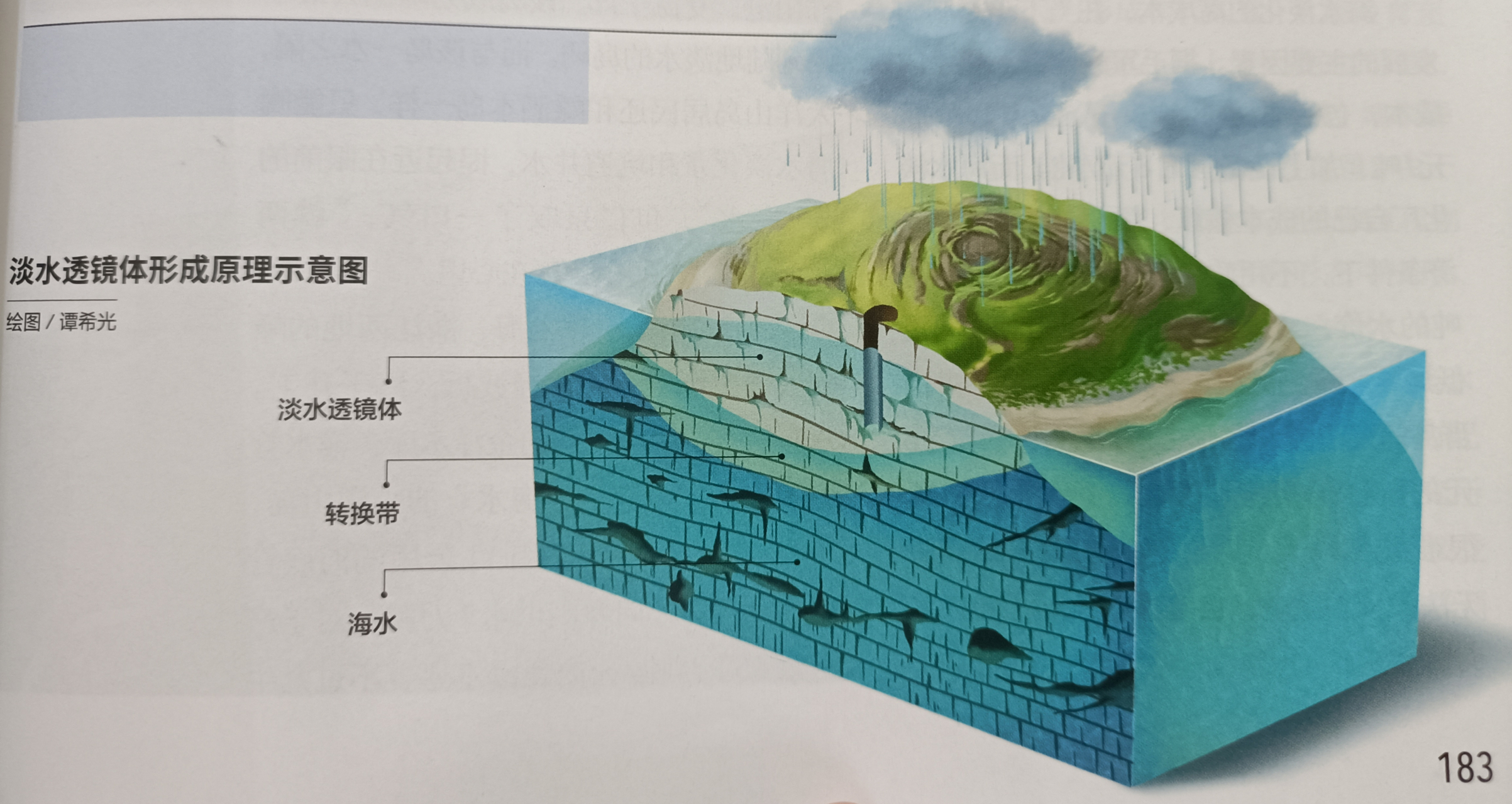 珊瑚礁的形成过程图图片