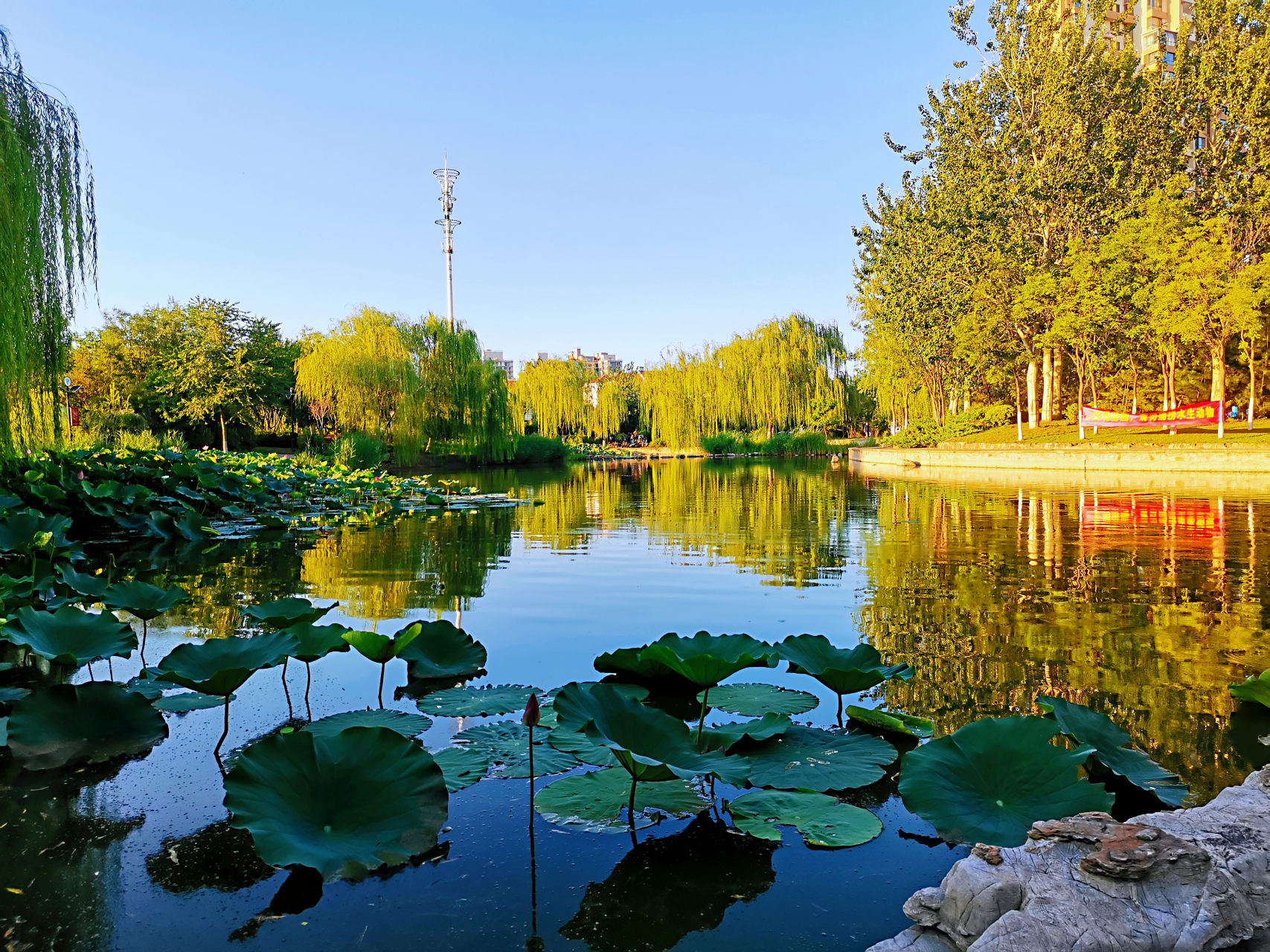 傍晚南翠屏公园