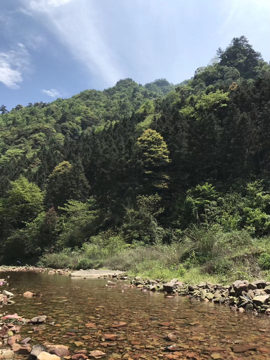 永顺杉木河图片