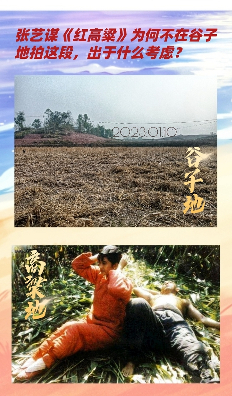 张艺谋《红高粱》为何不在谷子地拍这段,出于什么考虑?
