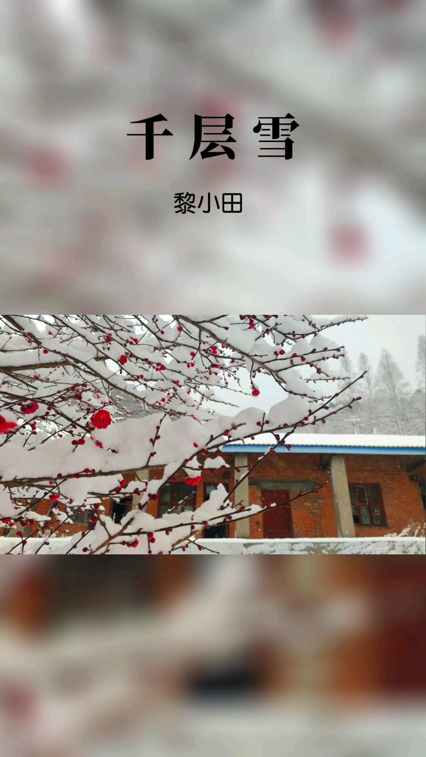 风华国乐之《千层雪》,喜欢这一类纯音乐的人都不简单!-度小视