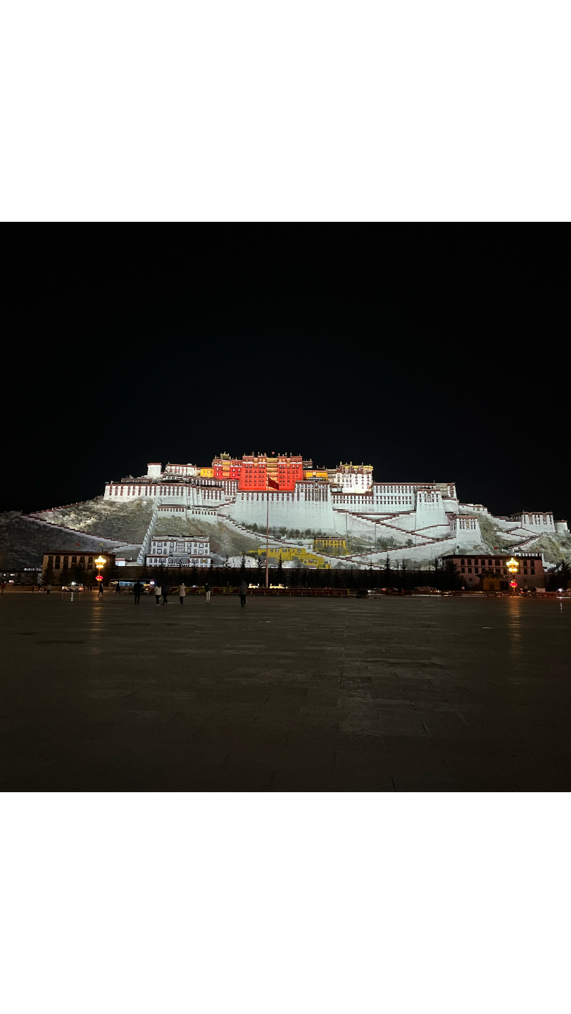 拉萨夜景 风景图片