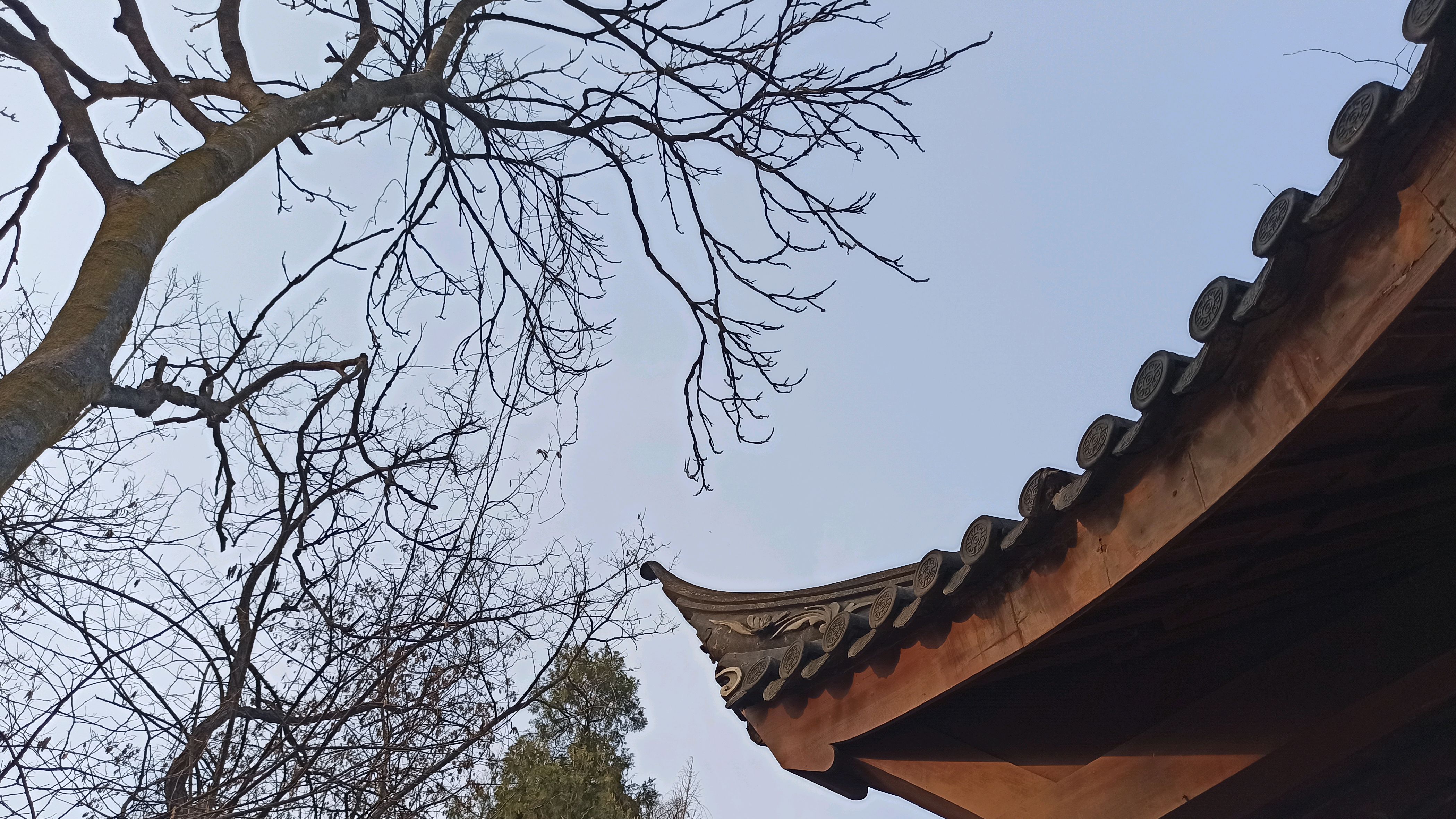 第四章 横生枝节