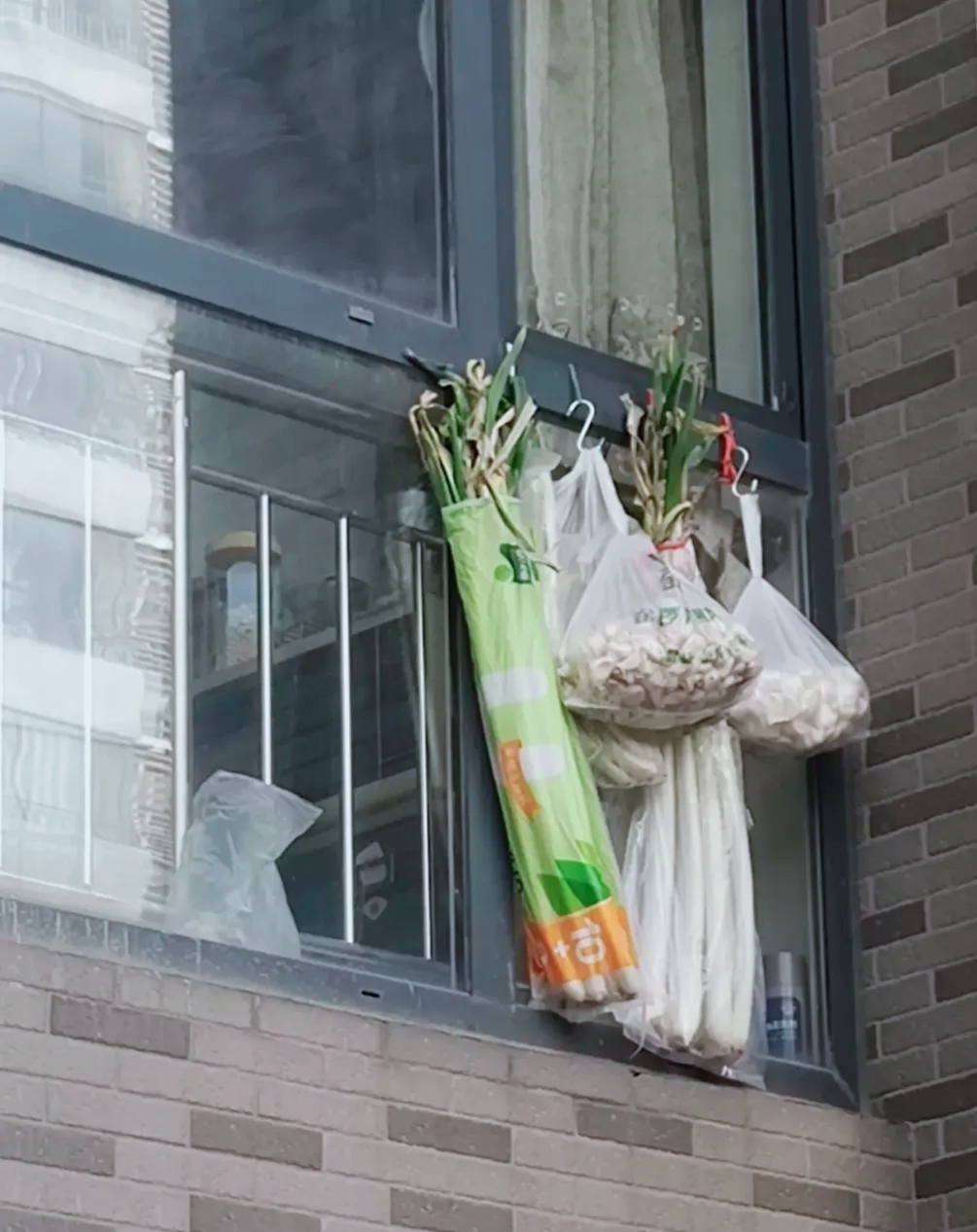 主人将葱蒜冻饺子别在了窗户外 应该是冬天北方屋里有暖气 这些东西