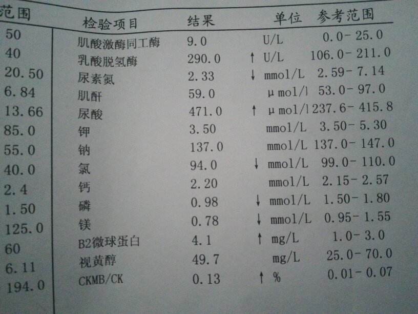 臨床檢查報告——血生化(腎功能)