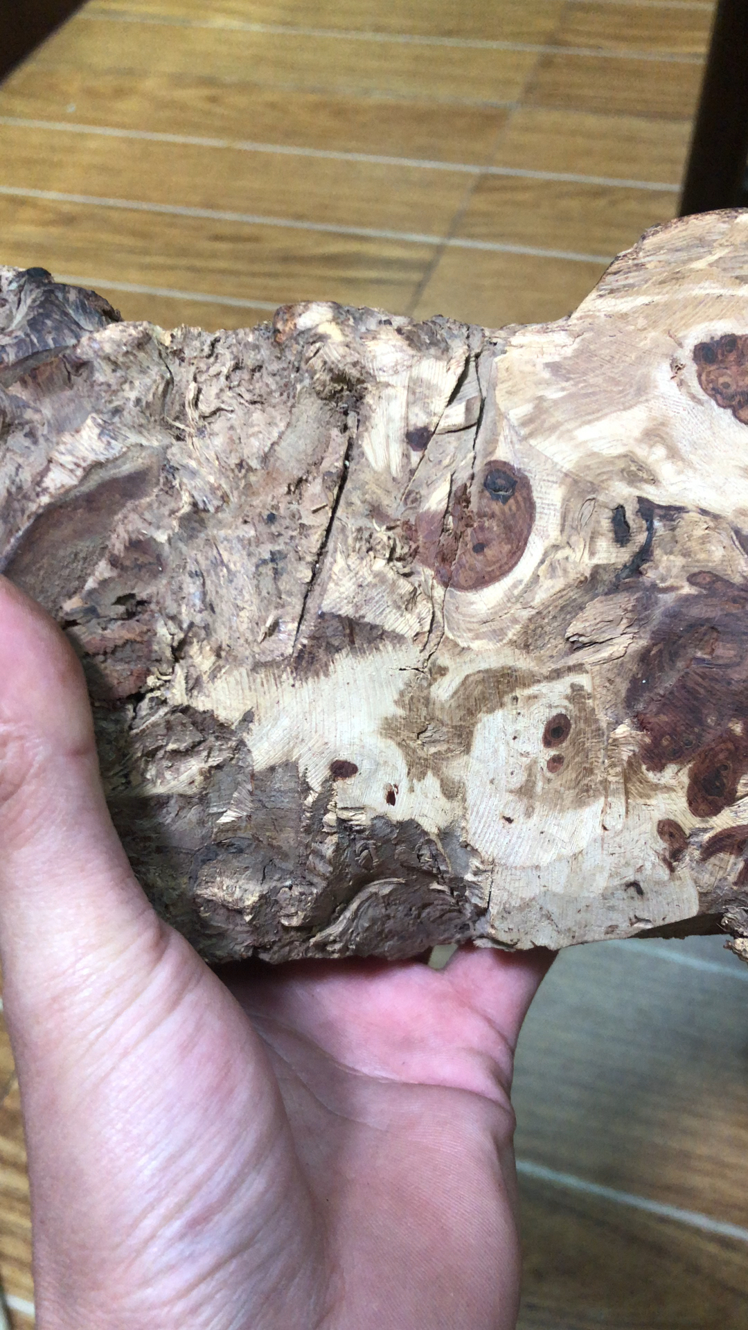 海南黄花梨紫油梨老料瘤疤收藏原料