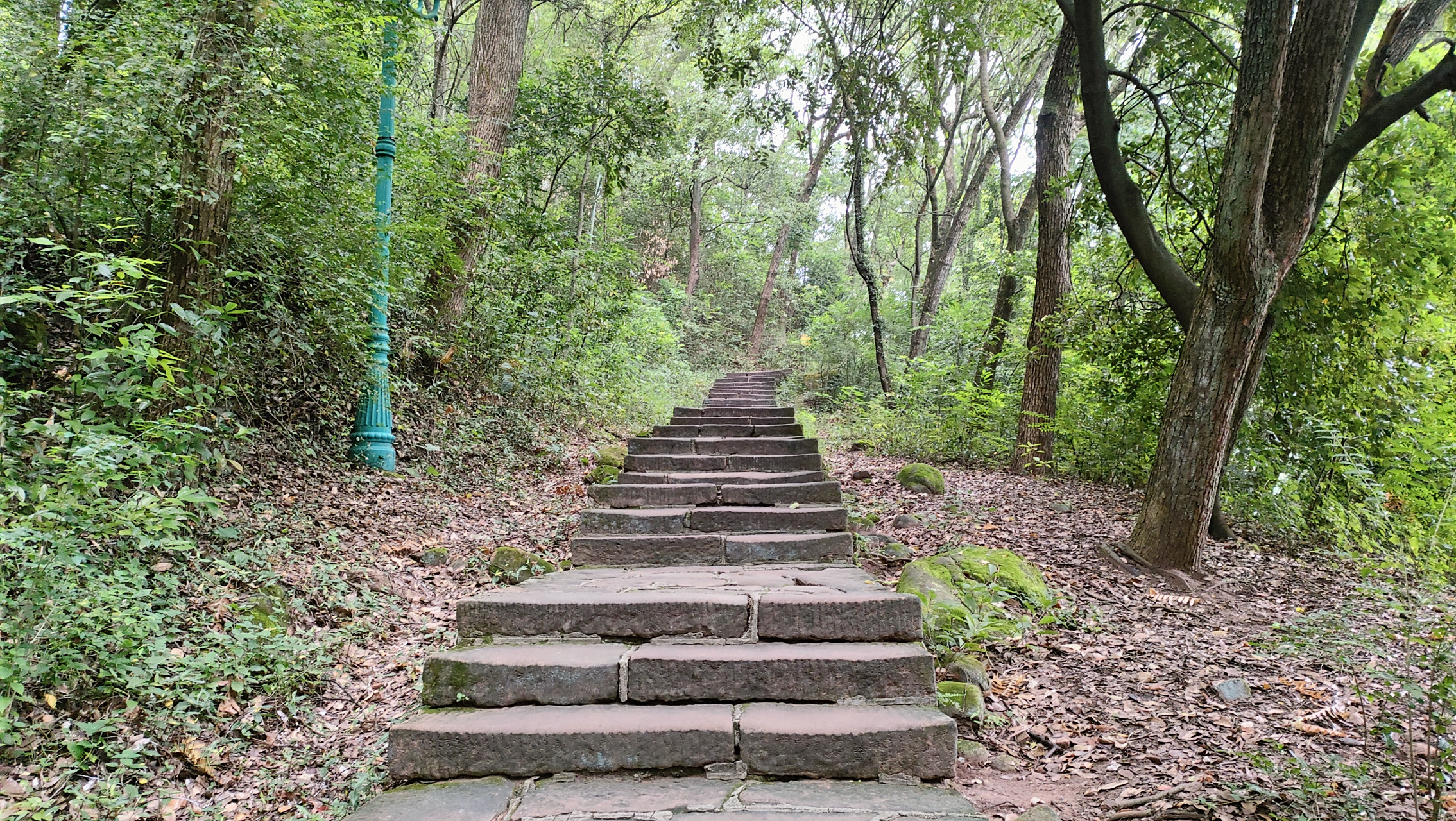 边拍边分享,乐昌市坪石镇金鸡岭风光