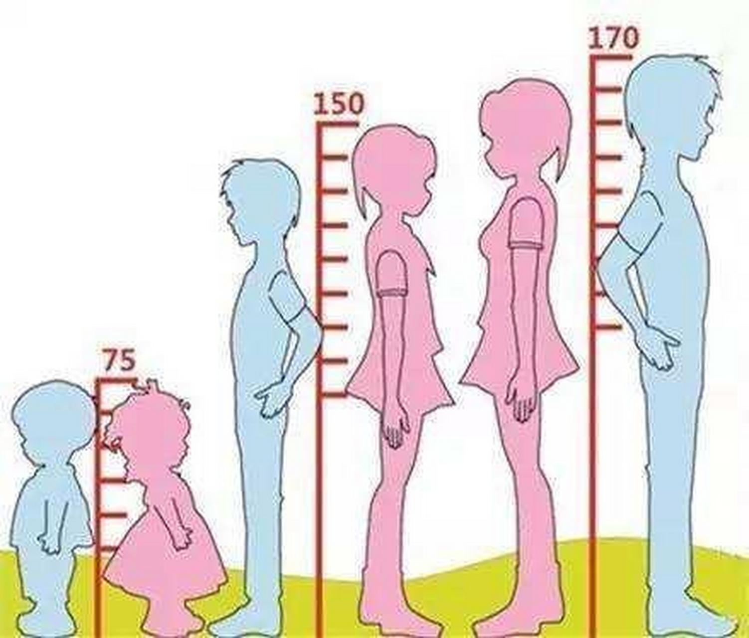 12岁女孩的平均身高水平在152.4cm-156.