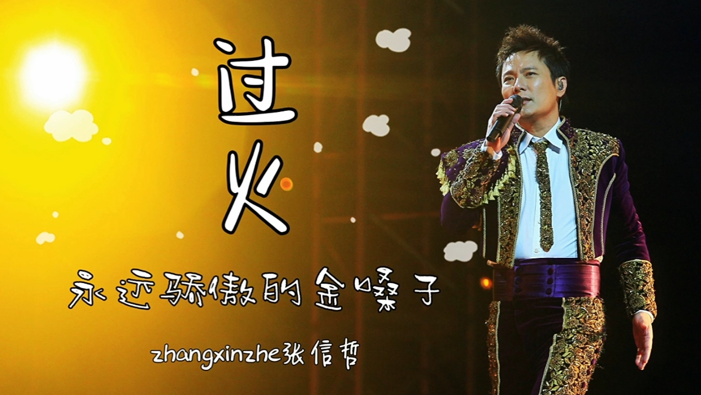 我为你而唱—张信哲春日歌会