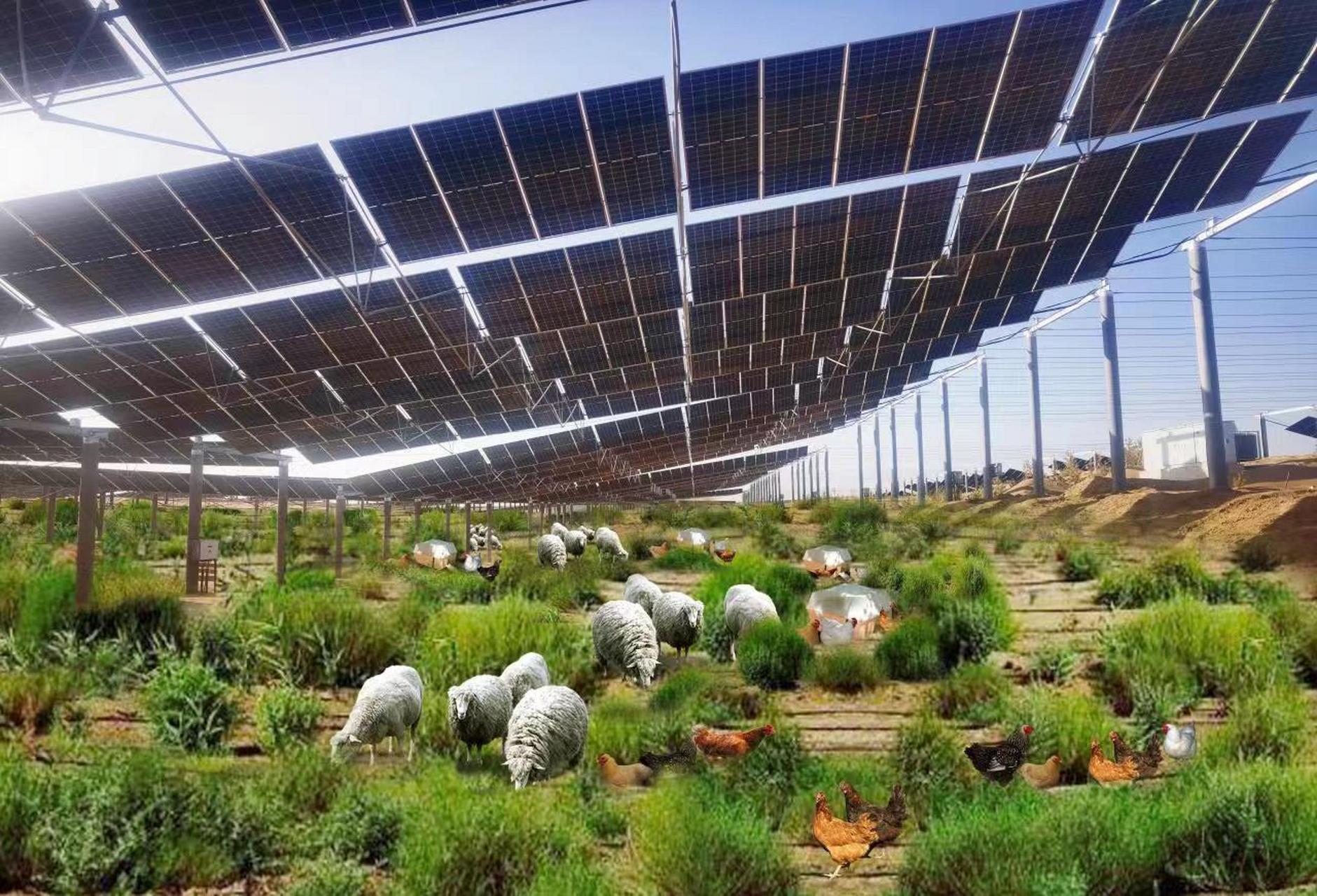 沙漠变草原  沙漠竖起光伏板  治沙方式大反转  绿电抽取地下水  打造