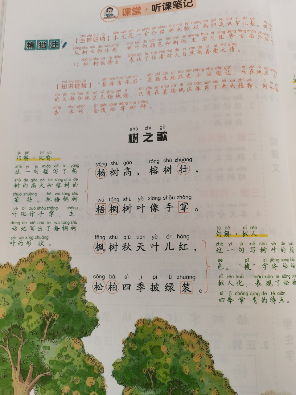 二年级上册语文树之歌,课文同步详细讲解.
