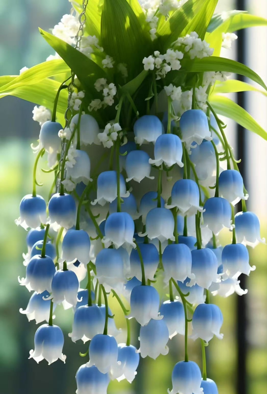 铃兰花开,幸福归来! 据说只要收到铃兰花,就会得到幸运!