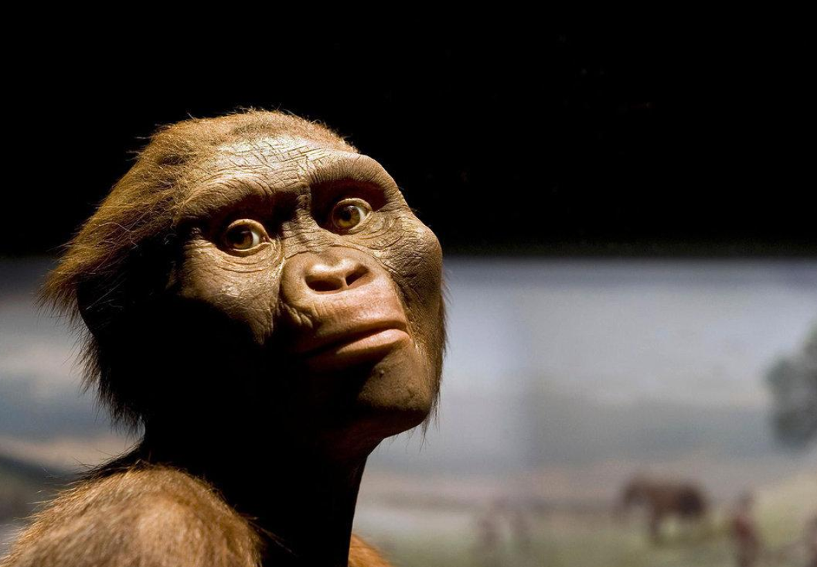 地球上第一个人类是怎么来的,如何繁殖起来的,有何科学依据?