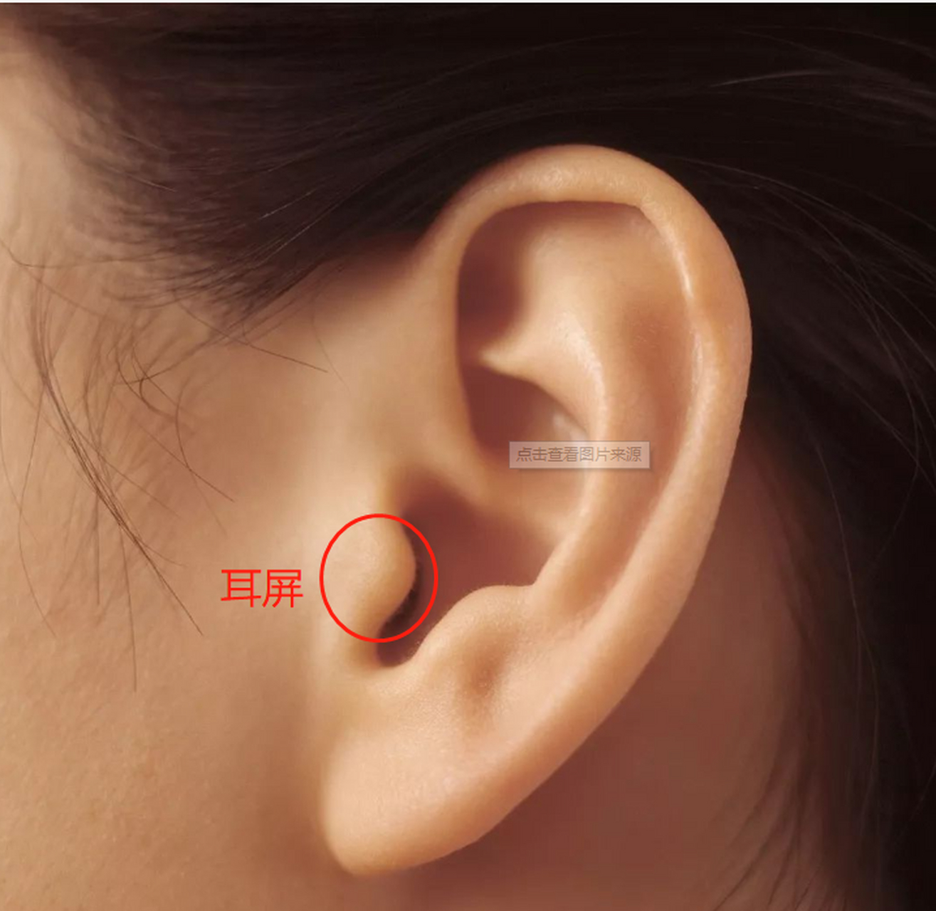 缓解耳鸣之鼓膜按摩法: 用食指或中指插入外耳道口,使其塞紧外耳道