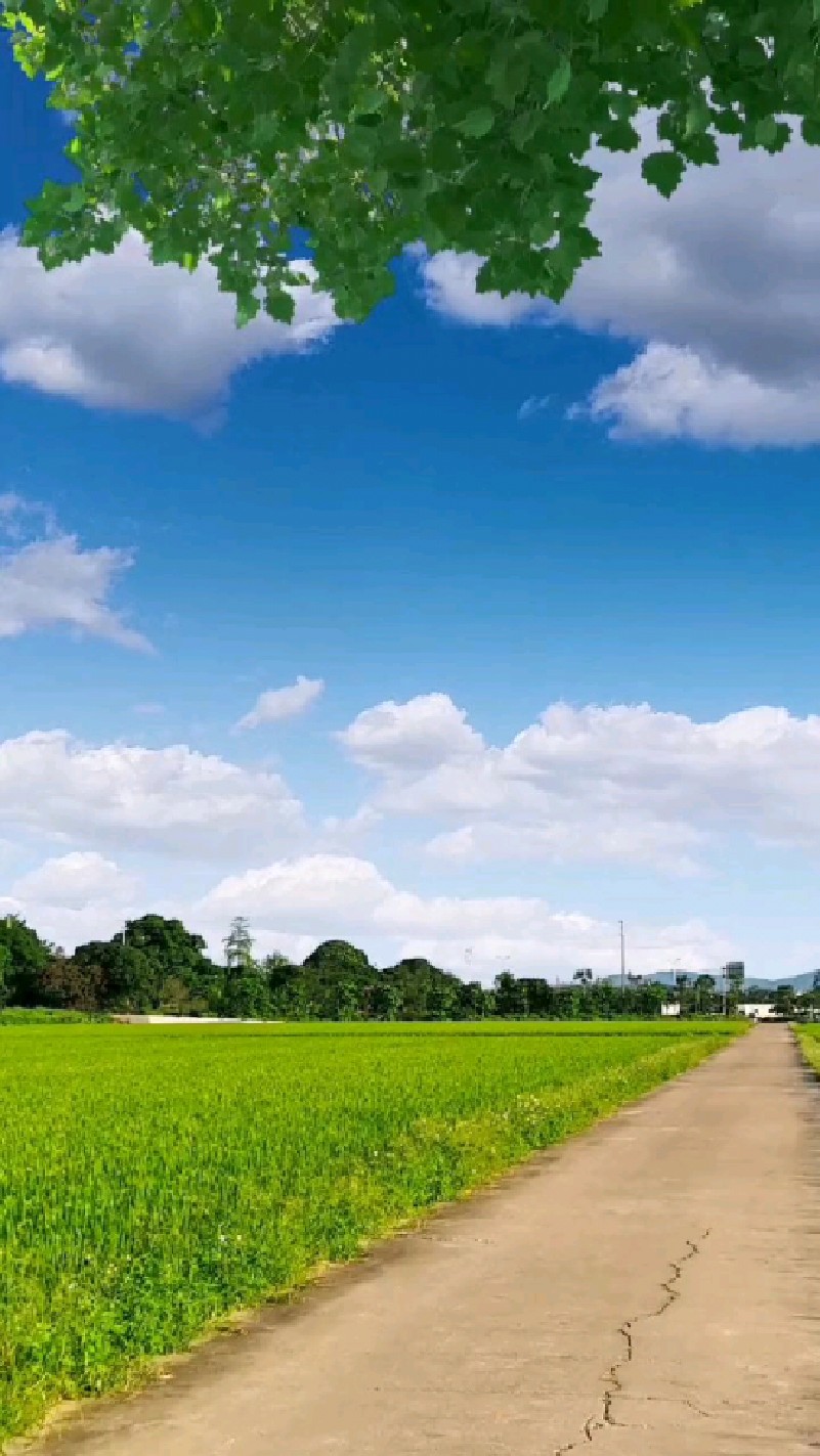 时光荏苒,往事随风