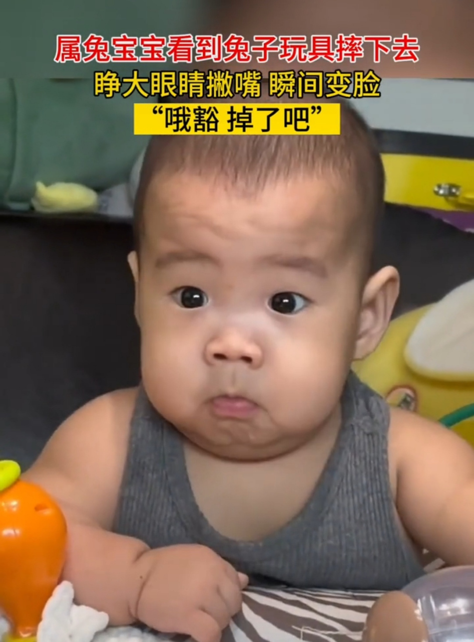 "哦豁!"这小表情也太可爱了!