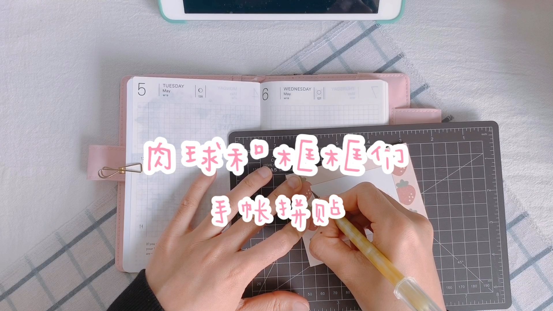 日常更帐:哐哐哐!框框框!肉球meatball的手帐拼贴