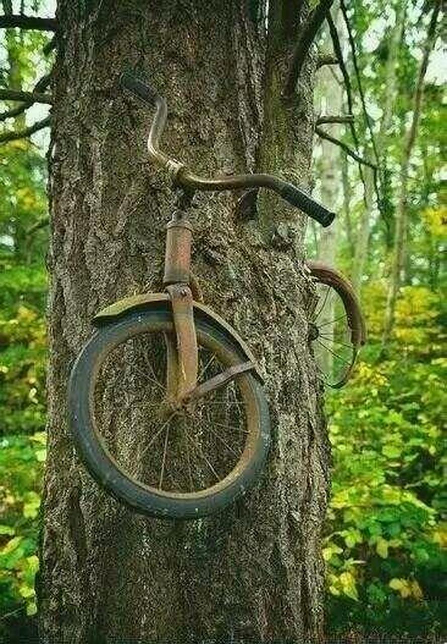 1914年,欧洲杀红了眼.