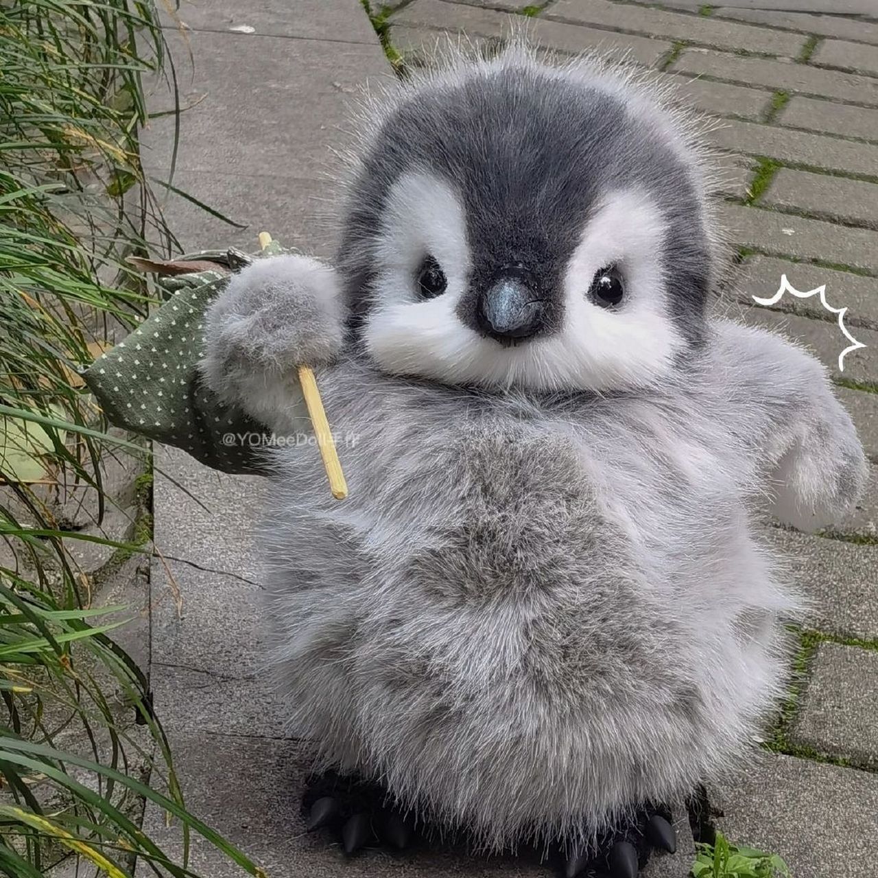 可爱的企鹅小宝宝