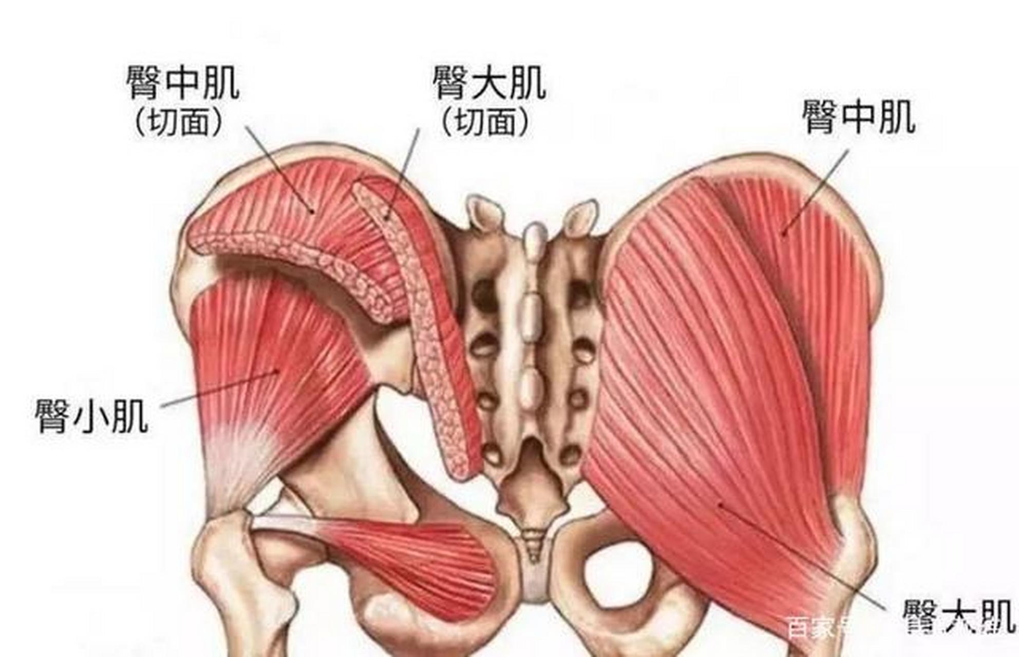 广场舞系列——后遗症之一大转子滑囊炎 今天门诊看了一位大妈,双侧