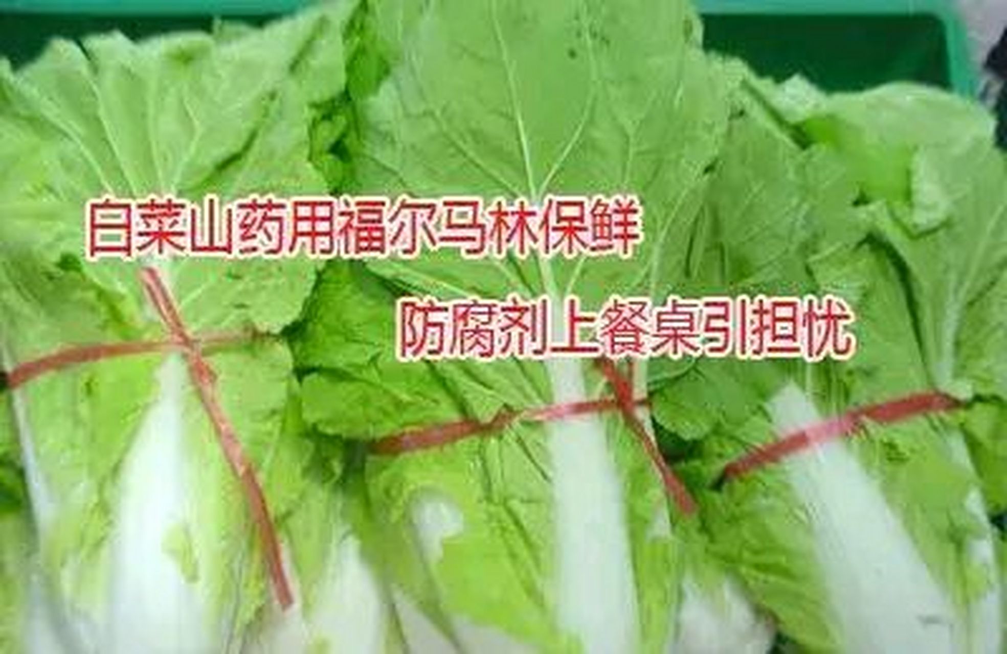 山东聊城,男子卖娃娃菜前,在福尔马林药水里泡,被市监局人员撞了个正