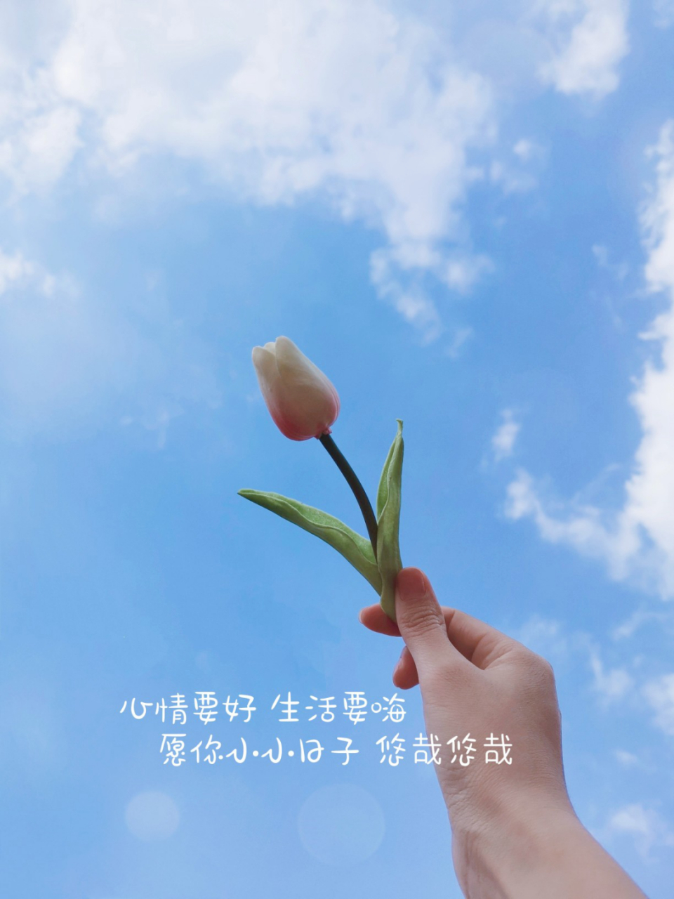 来给生活比个耶✌🏻 心情要好,生活要嗨. 愿小小日子悠哉悠哉