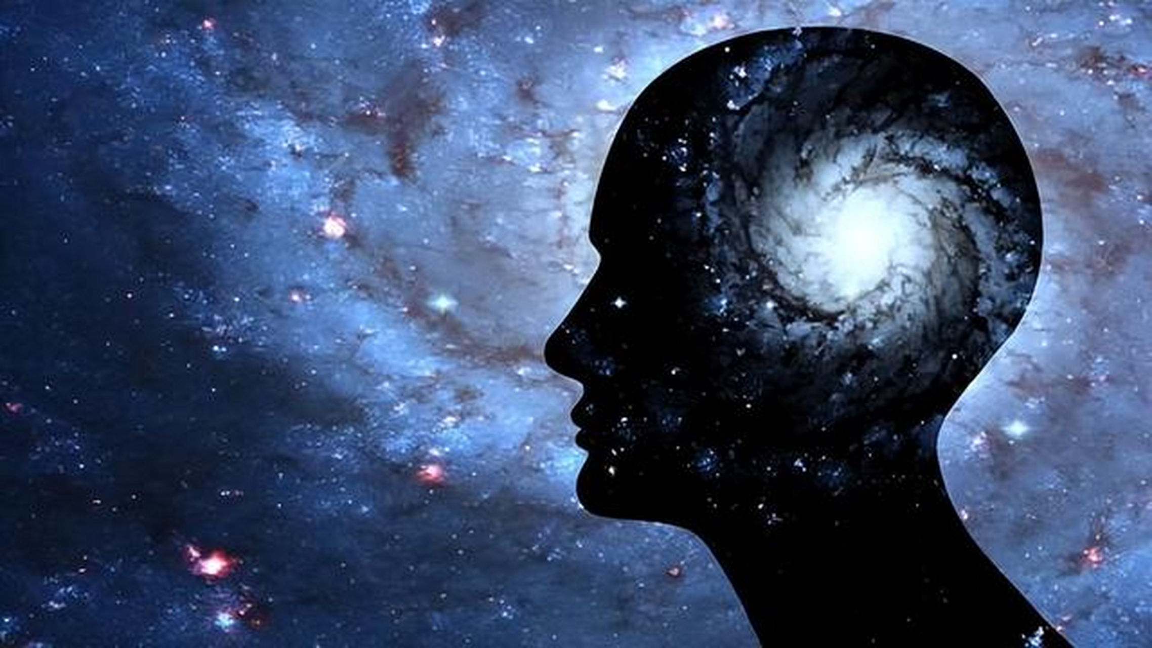 科学家们认为宇宙可能是未知生物大脑的一个有趣假设,这并不是说