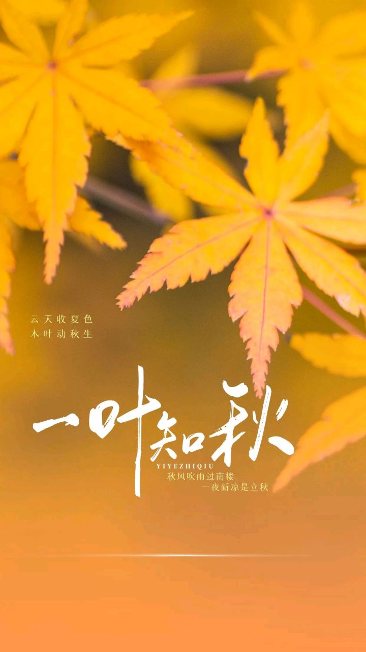 今日立秋… 时间过得好快,一晃就进入了一年之中的秋季.