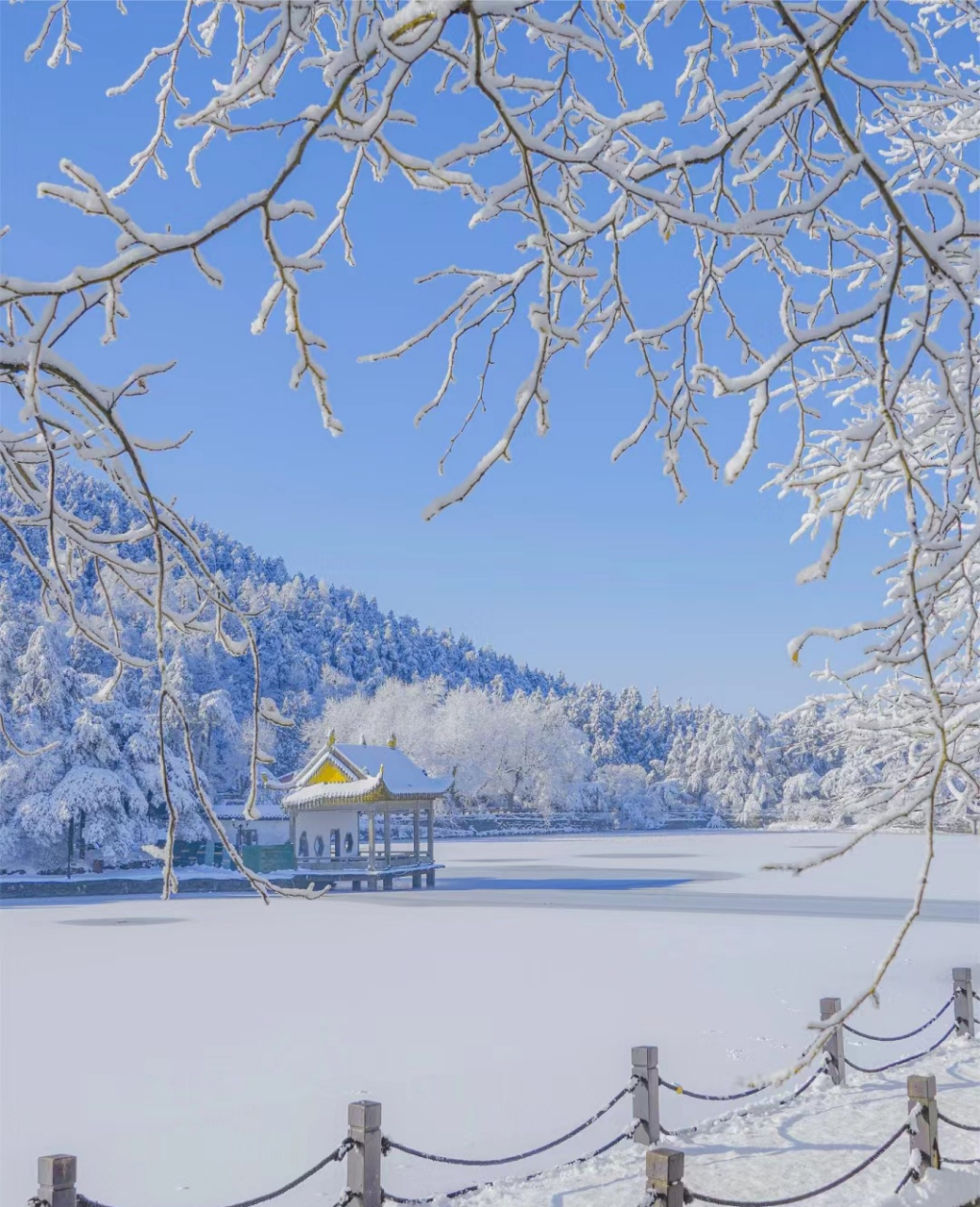 庐山冬天雪景图片